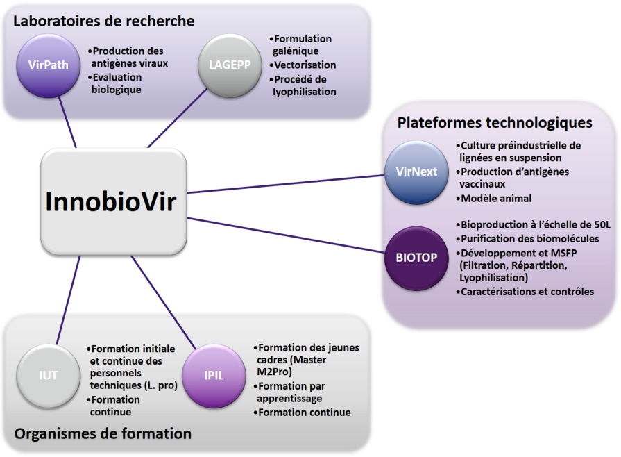 Innobio